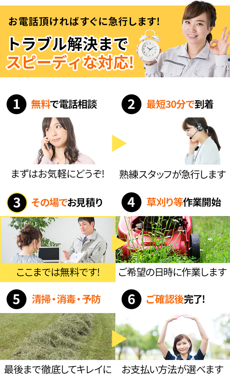 雑草のトラブル解決までスピーディな対応!