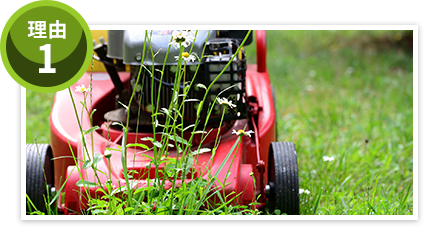 草刈りは1坪から対応可能